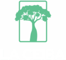 La Ceiba - V-Fondo Oscuro